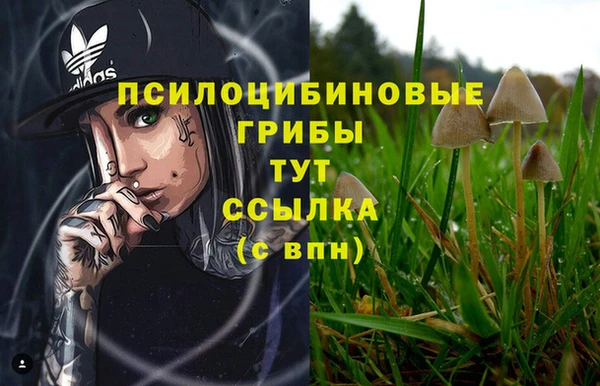 герыч Майский