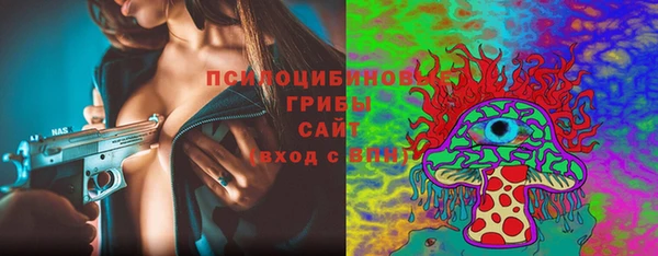 гашик Кострома