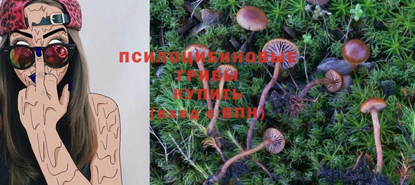 герыч Майский