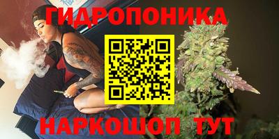 гидра Апрелевка