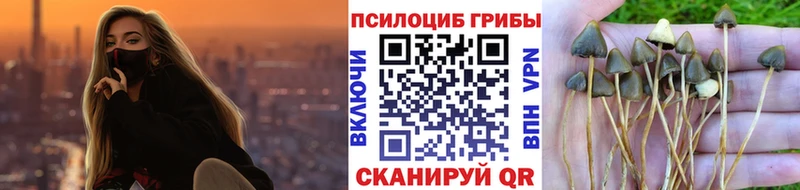 как найти закладки Миллерово Галлюциногенные грибы мицелий