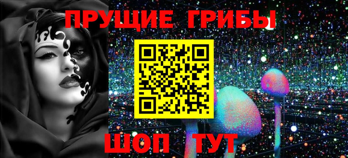 Псилоцибиновые грибы прущие грибы Миллерово