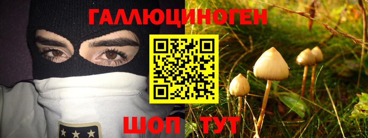 где купить наркотик  Вход с VPN  Миллерово  Галлюциногенные грибы Psilocybe 