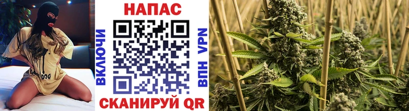 Шишки марихуана тримм  Миллерово 